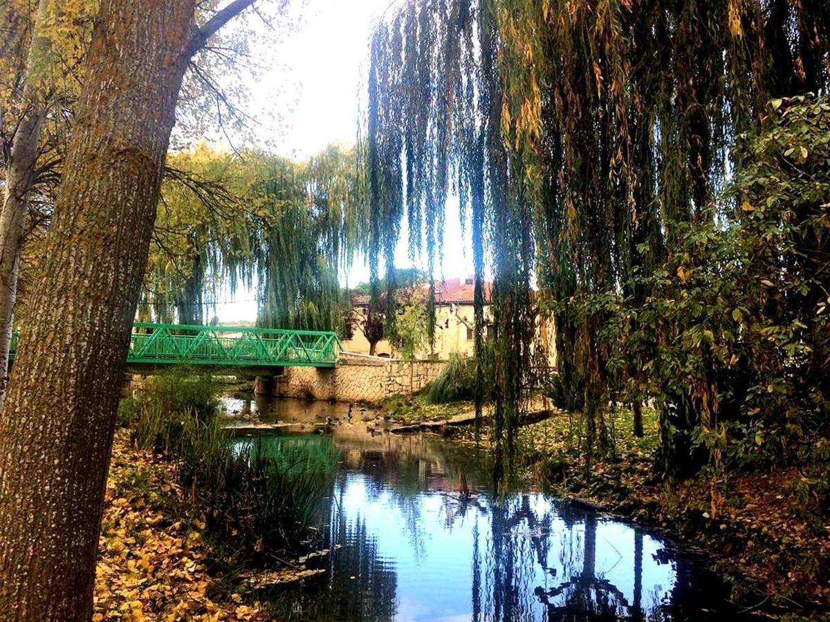 Apartamento Ribera Del Duero Reserva Тубилья-дель-Лаго Экстерьер фото